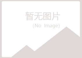 上海宝山夏日采矿有限公司